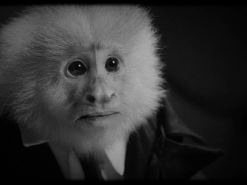 What Did Jack&nbsp;Do?