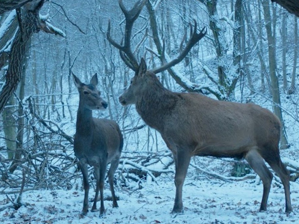 Mystery Of Love: On Body And&nbsp;Soul